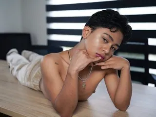Dantebre Profile Image