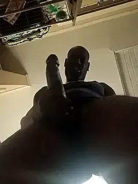 birdg's Thumb Image