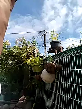 gwadaa9 private show on Streamsexy