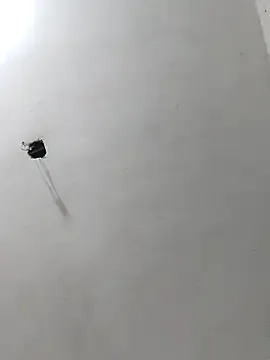 radhika2's Thumb Image