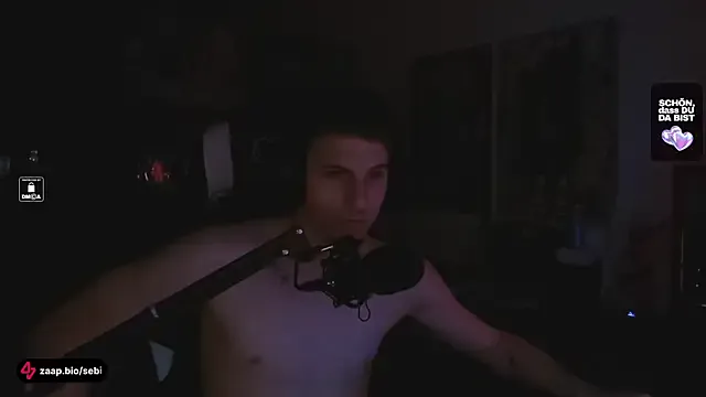 sebirp private show on Streamsexy